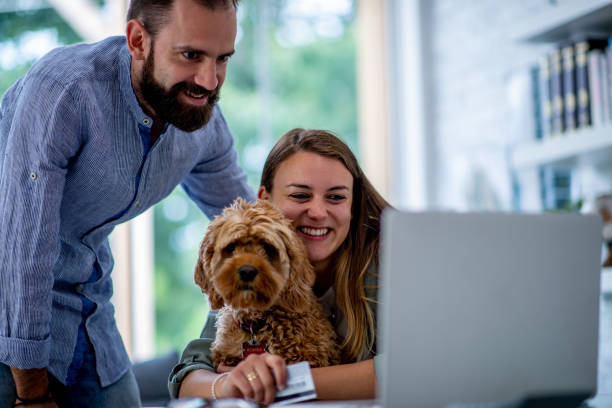 pet-care business staff looking at a monitor near dog kennels
