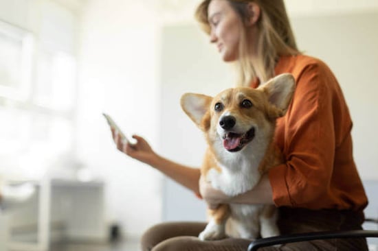 A person uses a phone while holding their dog