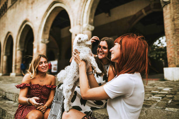 International Pet-Care Practices: Learning from Abroad