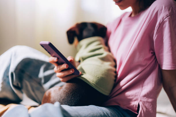 data security represented by pet parent with dog and phone