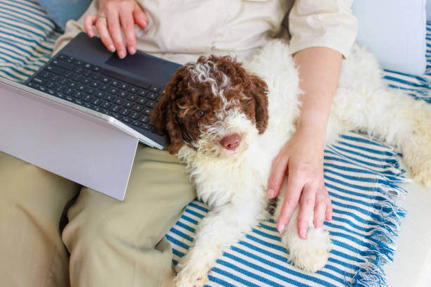 Educating Your Customers on Pet Nutrition Basics