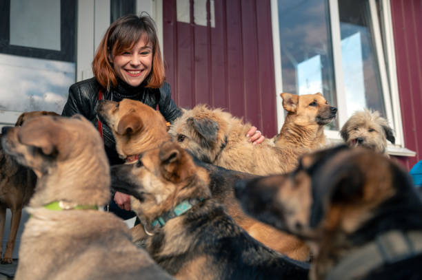 kennel or dog daycare owner smiling with a facility full of dogs