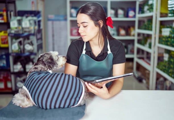 woman with tablet and dog wearing outfit
