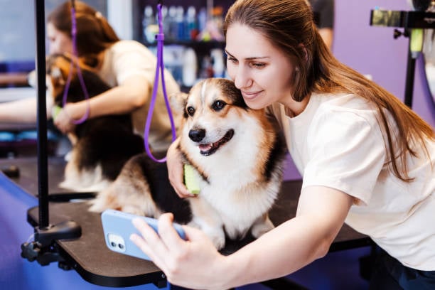 dog groomer taking a photo to text to pet parent 