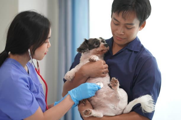 pup and parent visiting vet