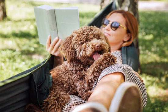 A dog and owner sit in a hammock outside