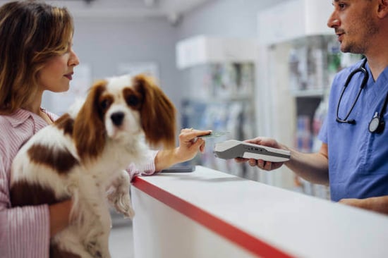 A person pays for a service while holding a dog