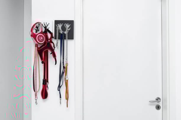 dog leashes by door for pet fire safety