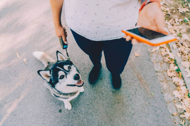 A man uses a phone while walking his dog