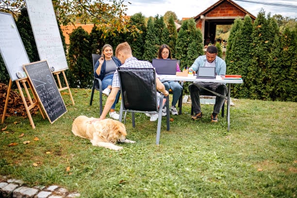 pet team meeting outside with dog