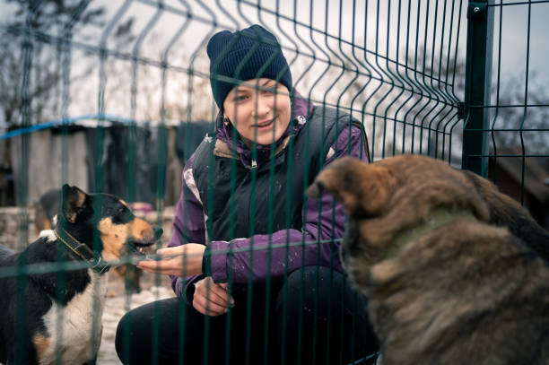 pet boarding facility owner spending time with dogs outside during winter