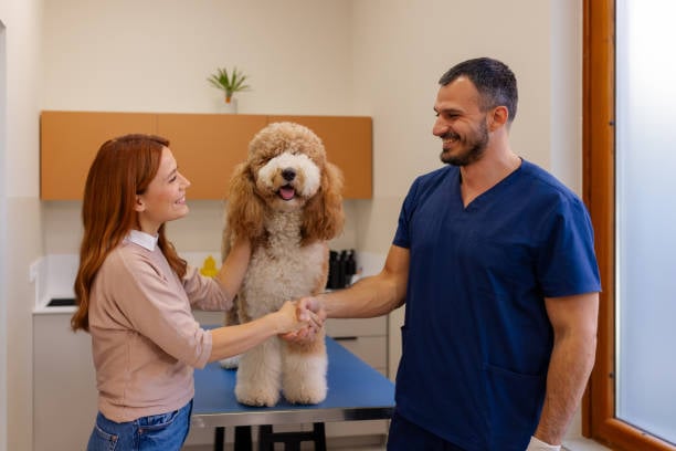 happy pet owner and groomer shaking hands