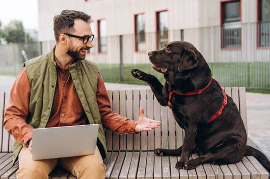 A man gives his dog a high five