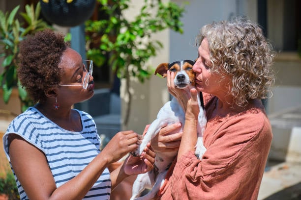pet lover kissing a vip dog with another pet parent nearby