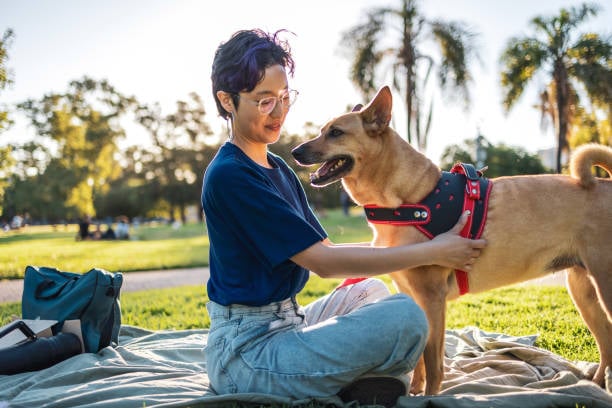 pet parent and dog outside at a dog park