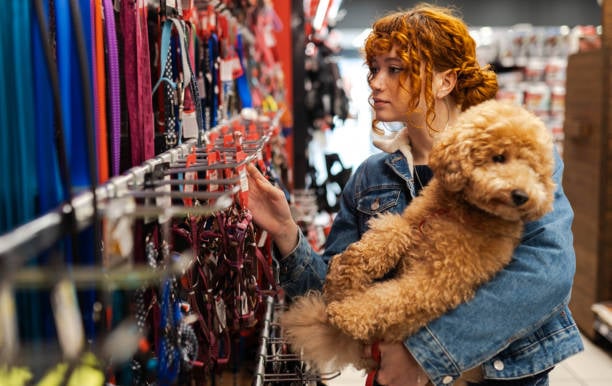 young shopper buying accessories for her dog at pet store