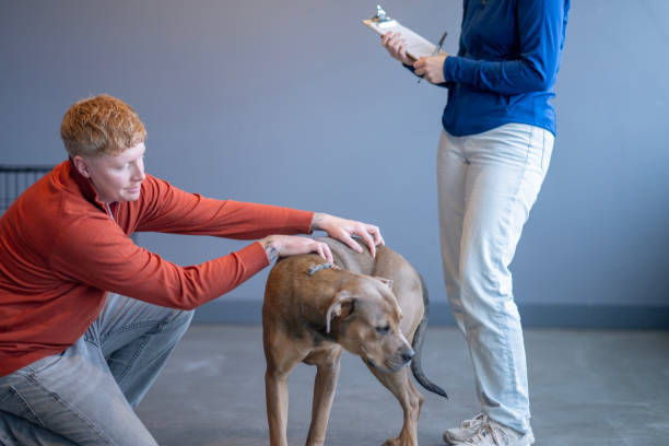 pet parent wrangling dog while caregiver tries to fill out check-in form