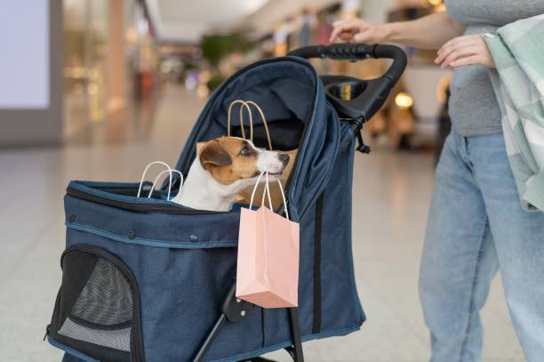 dog in stroller with shopping bag in mouth