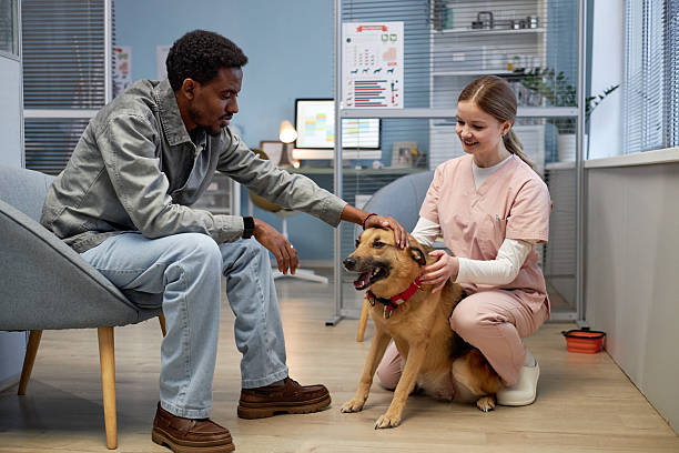 pet parent and pet business professional petting a dog with computer in background