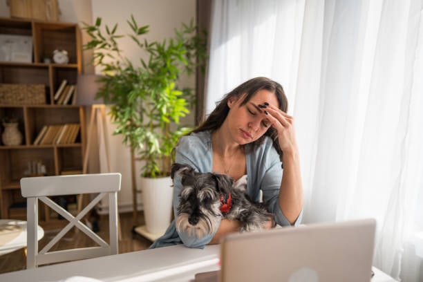 stressed worker with dog and laptop