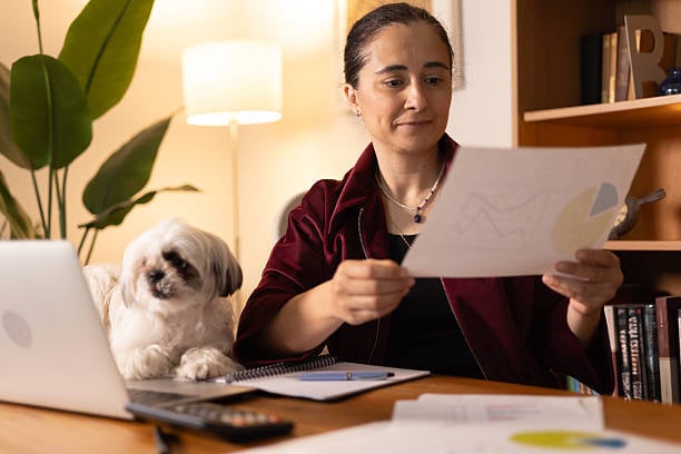 pet-care business manager with calculator and dog looking through numbers