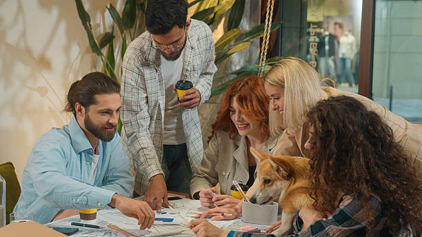 pet-care industry team brainstorming new brand identity for refresh