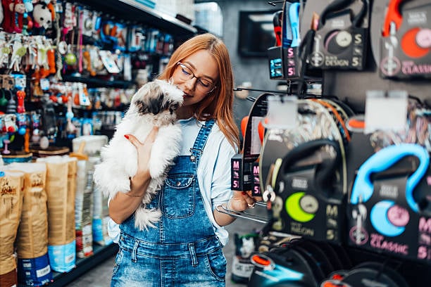 shopping for dog products at a pet store
