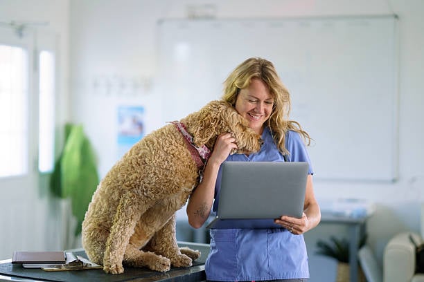 pet business owner with laptop and snuggly dog