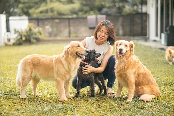 dog trainer and pups outside for a group training class