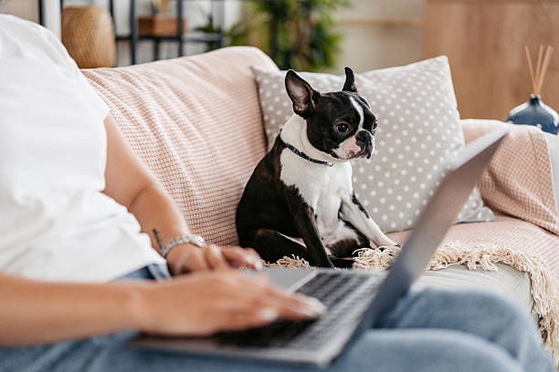 A woman uses a laptop as a dog sits next to her
