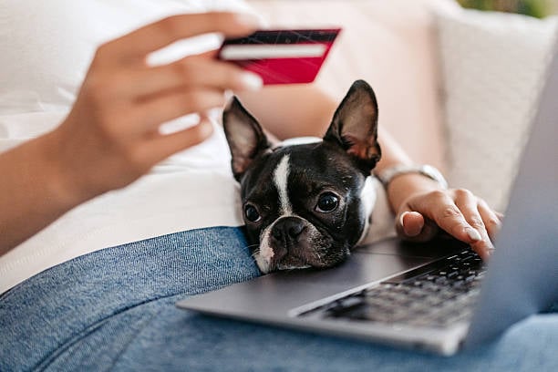 person with dog in lap paying bill on computer with credit card