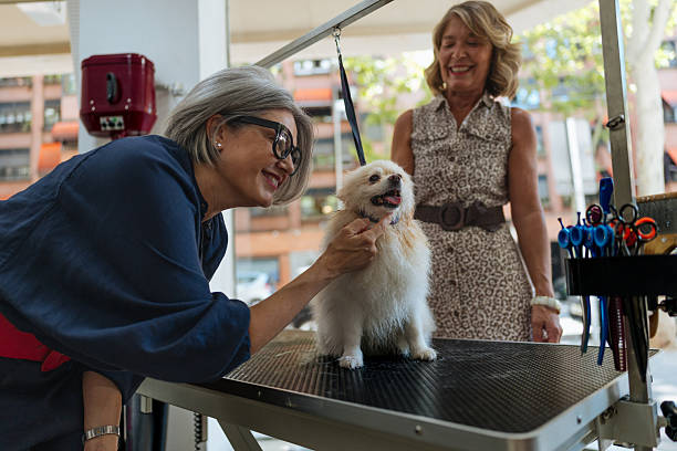 pet parent with groomer and dog
