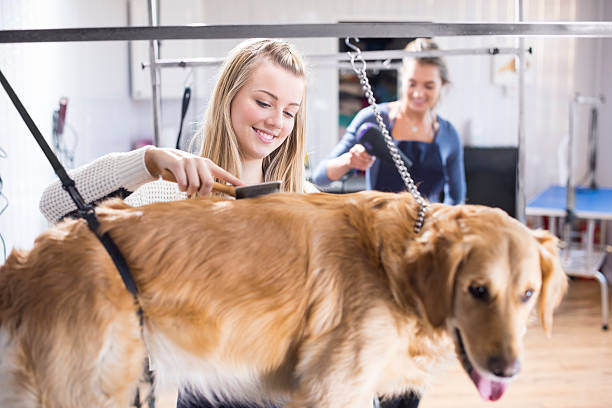 new pet groomer smiling and brushing dog at pet-care business adding additional services
