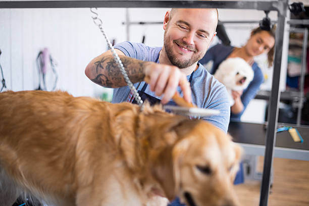 A man grooms a dog while smiling