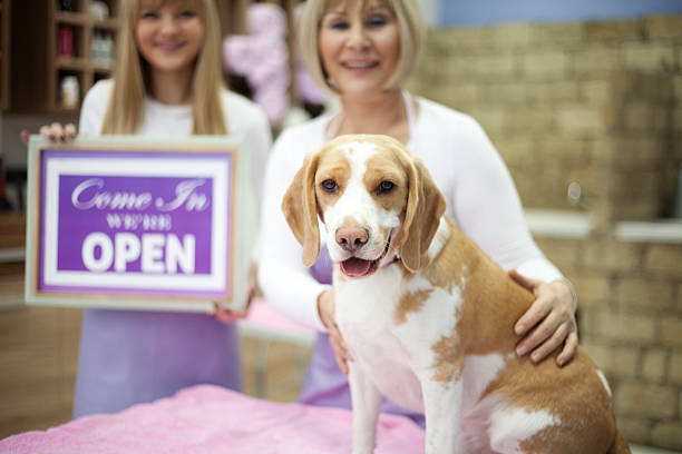 dog grooming business posing with client and open sign