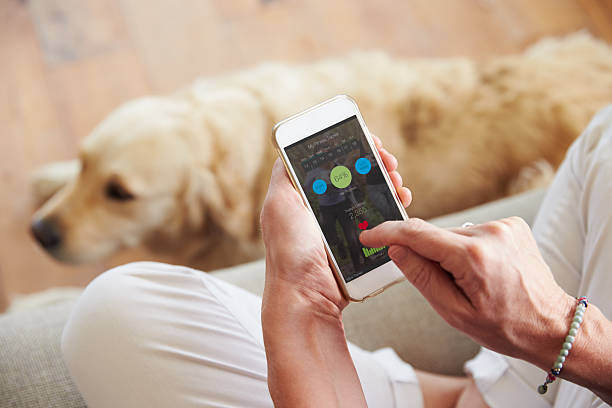 The Impact of AI on Pet Care and Management