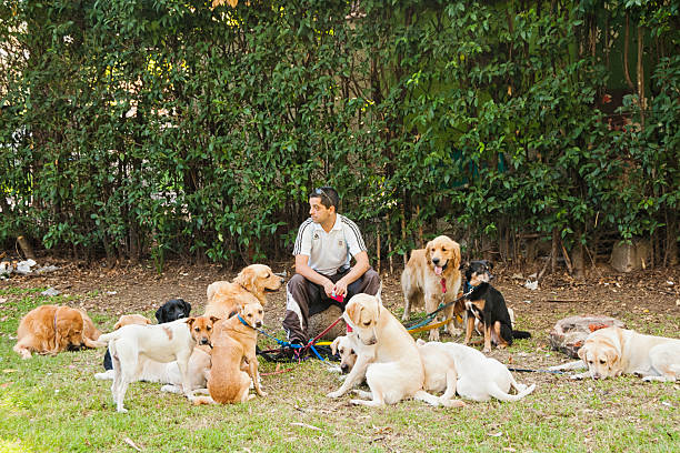 dogs outside with dog daycare owner