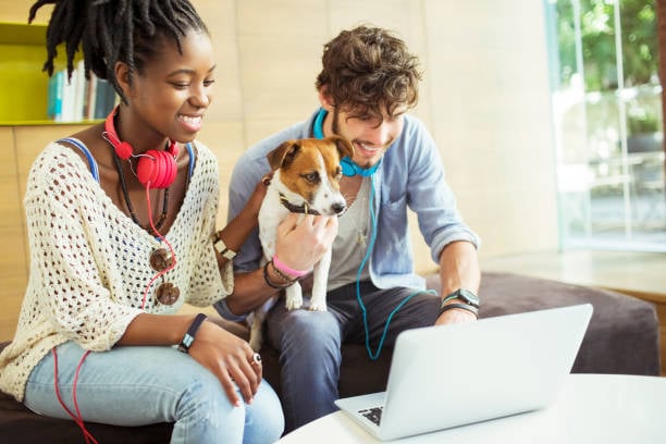 Gen Z friends and dog working together on a computer