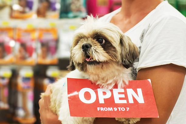 small dog wearing open sign around neck to advertise pet-care business