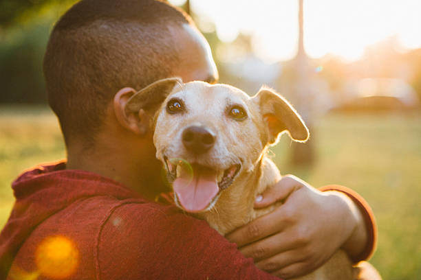 A man hugs a dog