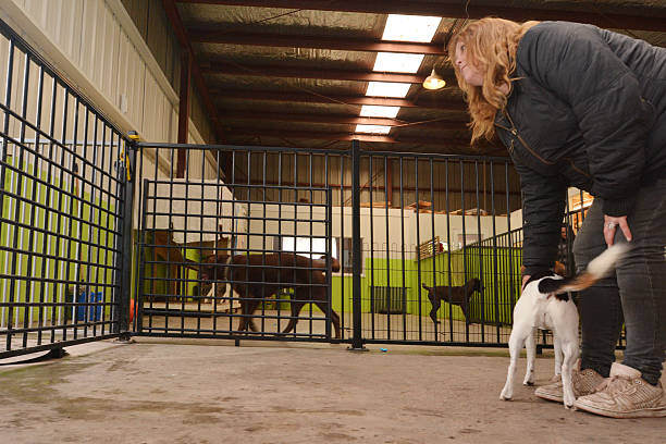 7 Protocols Every Kennel Should Have in Place for Success