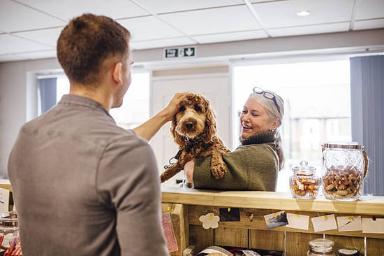 A happy woman with a dog checks in at a reception desk