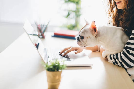 A woman uses a laptop as a dog sits on her lap