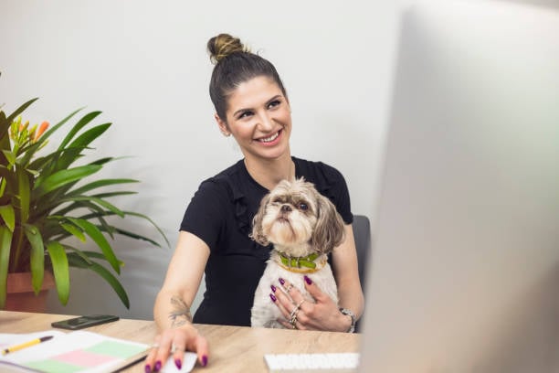 pet-care provider with dog on computer using software