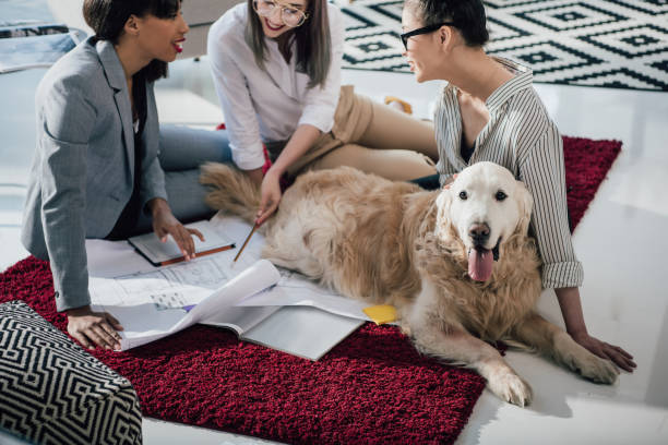 pet-care team reviewing data with golden retriever dog
