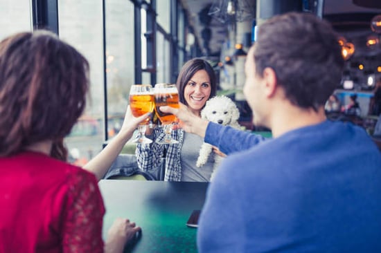 A group of people socialize at a dog bar