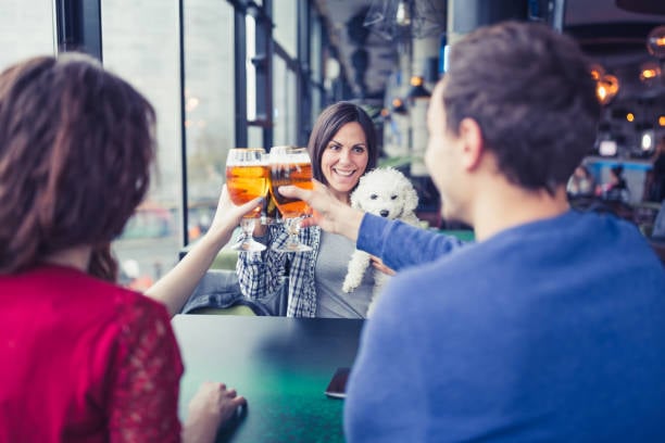 people clinking glasses of beer at a dog bar