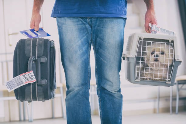 person carrying dog in carrier and suitcase through airport