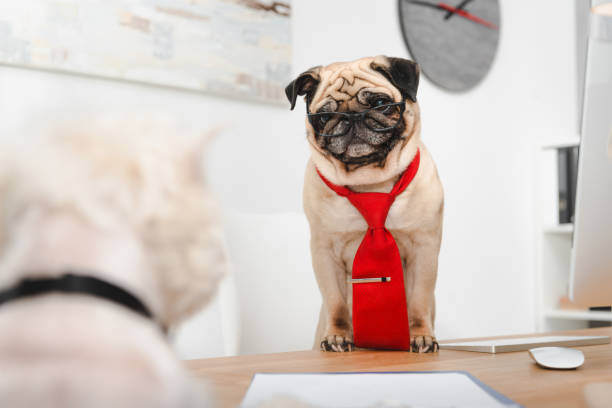 Hiring for Success: Finding the Right Fit for Your Pet-Care Team