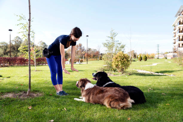 dog trainer conducting a group training class outside
